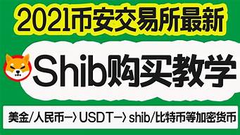 购买SHIB币前必须知道的关键信息！(shib币在哪购买)