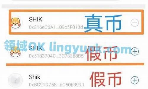 shib合约是什么？了解shib合约的定义和玩法(shib合约是什么意思)