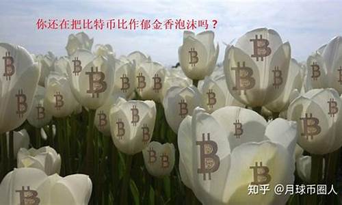 比特币是郁金香泡沫吗？比特币泡沫是什么意思？(泡体多大)