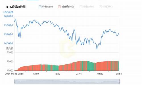 BTC美金官方网址(btc美元行情最新价格)